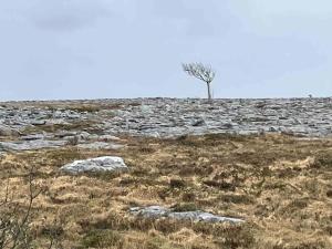 Studio Apartment sleeps up to 4 guests in Kinvara