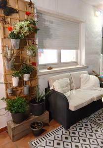 La casa Mariposa, UNIQUEMENT 1chambre et 1sdb privées dans un appartement partagé chez lhabitant