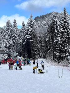 4 person apartment Loggia with parking