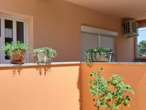 Apartman Dora&Borna