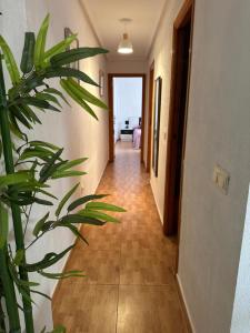 Charming As Marias flat near the beach