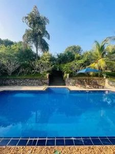 The Nature Palace Villa - 阿洪加拉