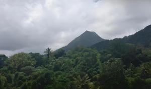 Maison entière - La Florière Verdoyante