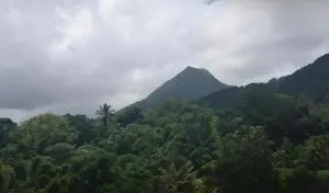 Maison entière - La Florière Verdoyante - Le Morne Rouge