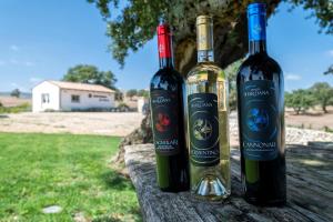 Villa Shardana Heated Pool SPA Nature Relaxation img80