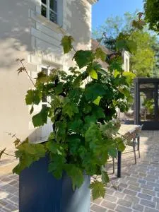 chambre d'hôtes La Marmittiére - Dierre