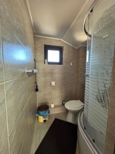 Double Room with Mountain View room in Pensiunea DEDU
