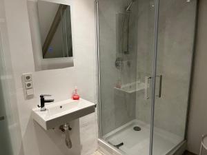 Central apartment nearby munich