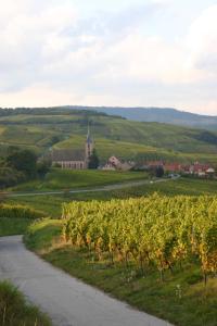 Hotels Hotel Winzenberg : photos des chambres