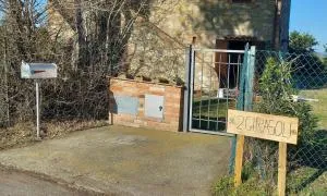 2 girasoli - Sanfatucchio