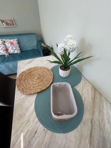 Alpha apartment H1