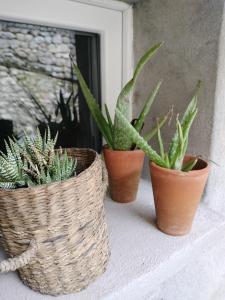 La petite maison de poncho