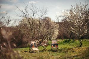 Appartements Le gite des Jardins de Lumiere : photos des chambres