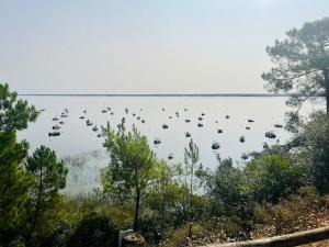 Apt T3 avec terrasse, sous les pins, au bord du lac et à 5 min de locéan
