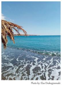 Coastal Ierapetra 2