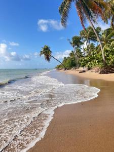 Pousada Sunshine Patacho Rota Ecológica dos Milagres Porto de Pedras