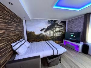 Studio with jacuzzi near Paris