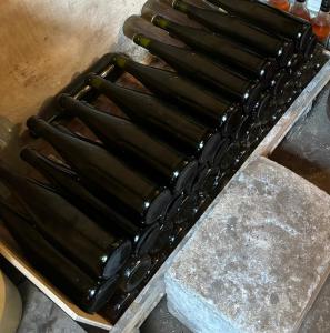 Village house & Micro Winery