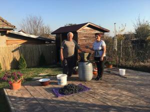 Village house & Micro Winery