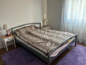 Village house & Micro Winery