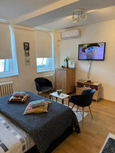 Apartment Center Belgrade