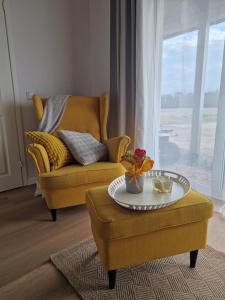 Taadi studio apartment