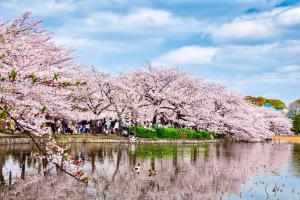 MY House YANESEN Tokyo