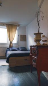 Appartements Studio Caen quartier historique : photos des chambres