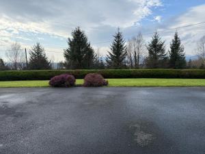 The Foresters Cottage