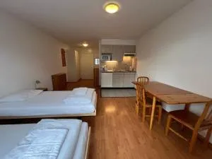 Studio for 2 people with parking - Vouvry