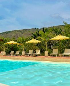 Trip Monkey del Río