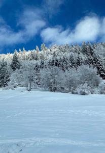 Studio for 2 people with parking