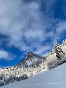 Studio for 2 people with parking