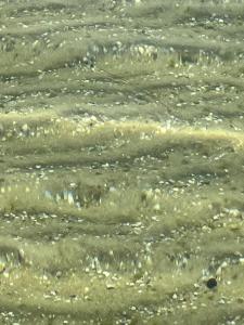 Pé na Areia Beach House