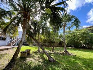 Perfect Place Cozumel - DIANA