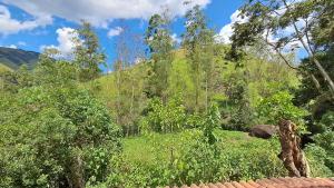 Casa espaçosa e acolhedora SFX