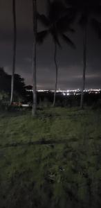 FAZENDA BOSQUE DAs PALMEIRAS