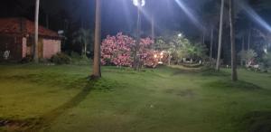 FAZENDA BOSQUE DAs PALMEIRAS