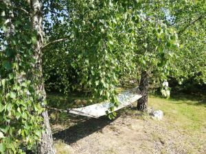 Glamping under the pines