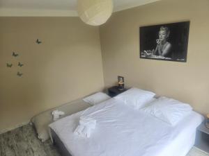 Maison Climatisée, Jardin, Piscine, 7 pers