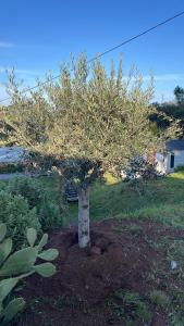 Campings L- Escapade : photos des chambres