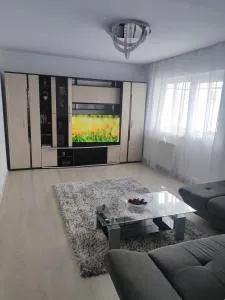 Cozy Residence Sibiu - 谢林伯尔