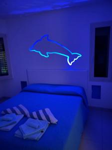 Appartamento delfino azzurro img6