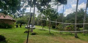 FAZENDA BOSQUE DAs PALMEIRAS