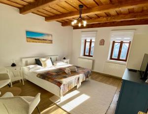 Palócföldi Menedék