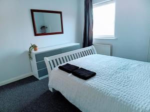 Cosy and warm Belfast Central 2 Beds Apartment