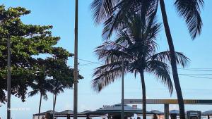 Temporada Copacabana Ale