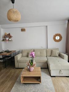 Eja nAdriatik- Beach studio ground floor