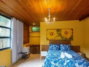 Pousada Lisieux - Paraju