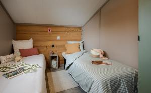 Chalets Coqslitscaux : photos des chambres